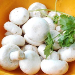 Egrow 100Pcs/Bag White Mushroom Seeds New Edible and Healthy Vegetable Seeds Bonsai Plant Seeds